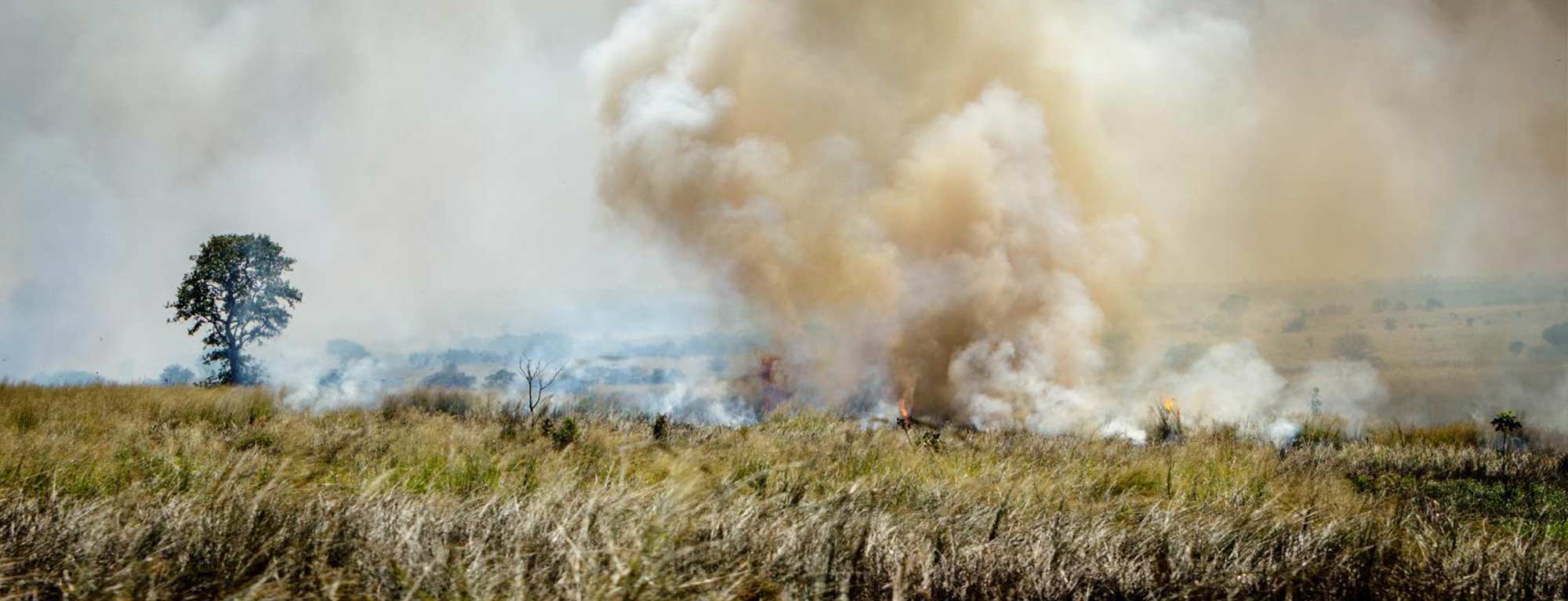 Headband Agricultural Waste Burnt Headband Agricultural Waste Burnt