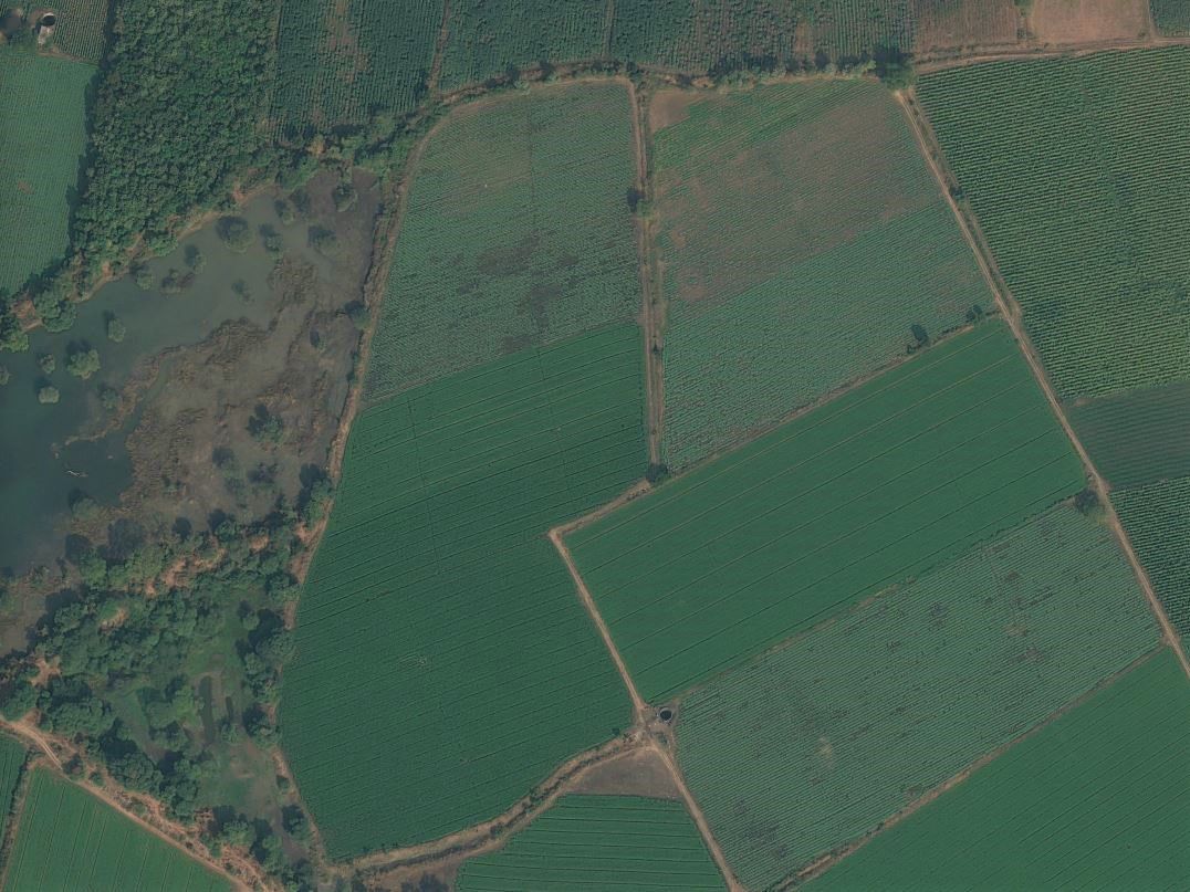 Satellite sample Imagery for Agriculture, Gujarat, India by Pléiades Neo 30cm resolution Satellite sample Imagery for Agriculture, Gujarat, India by Pléiades Neo 30cm resolution