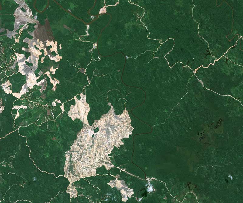 indonesia-borneo-forest.jpg indonesia-borneo-forest.jpg