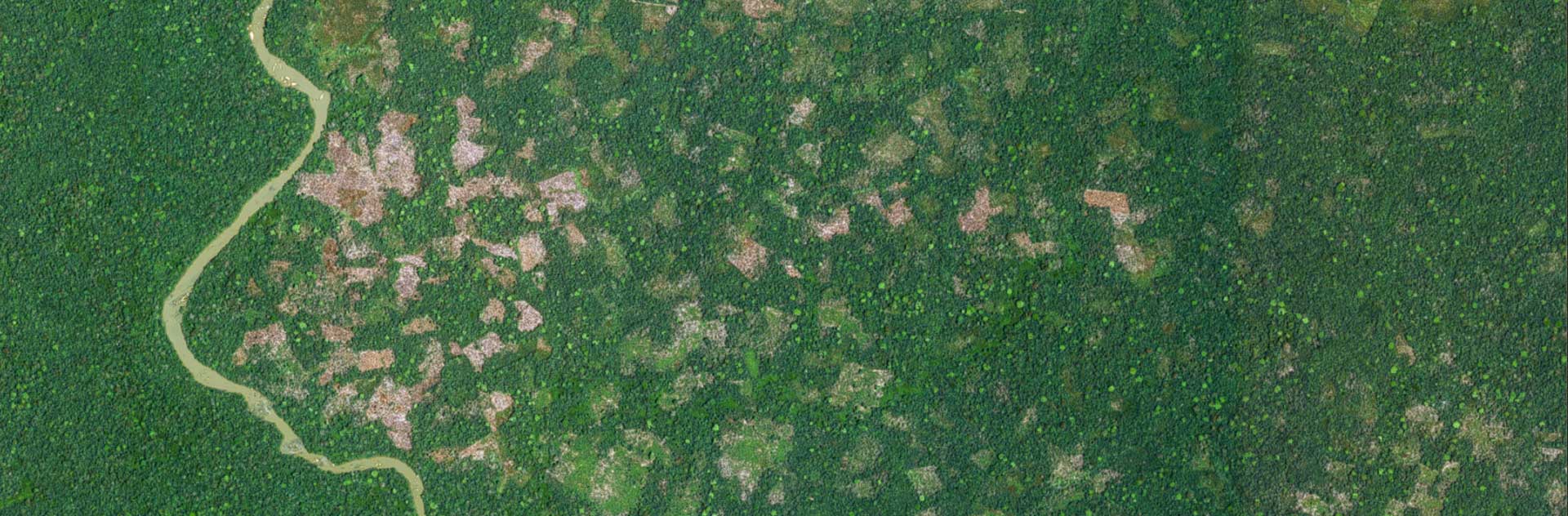 Sustainable management of tropical forests of the Congo basin Sustainable management of tropical forests of the Congo basin