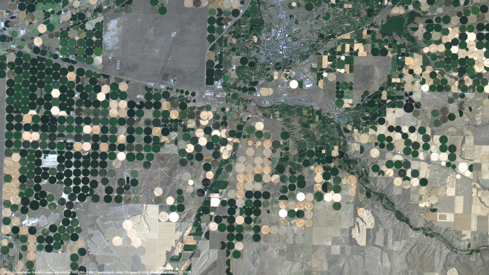 Crop fields in Oregon Satellite image from DMC Constellation thumbnail