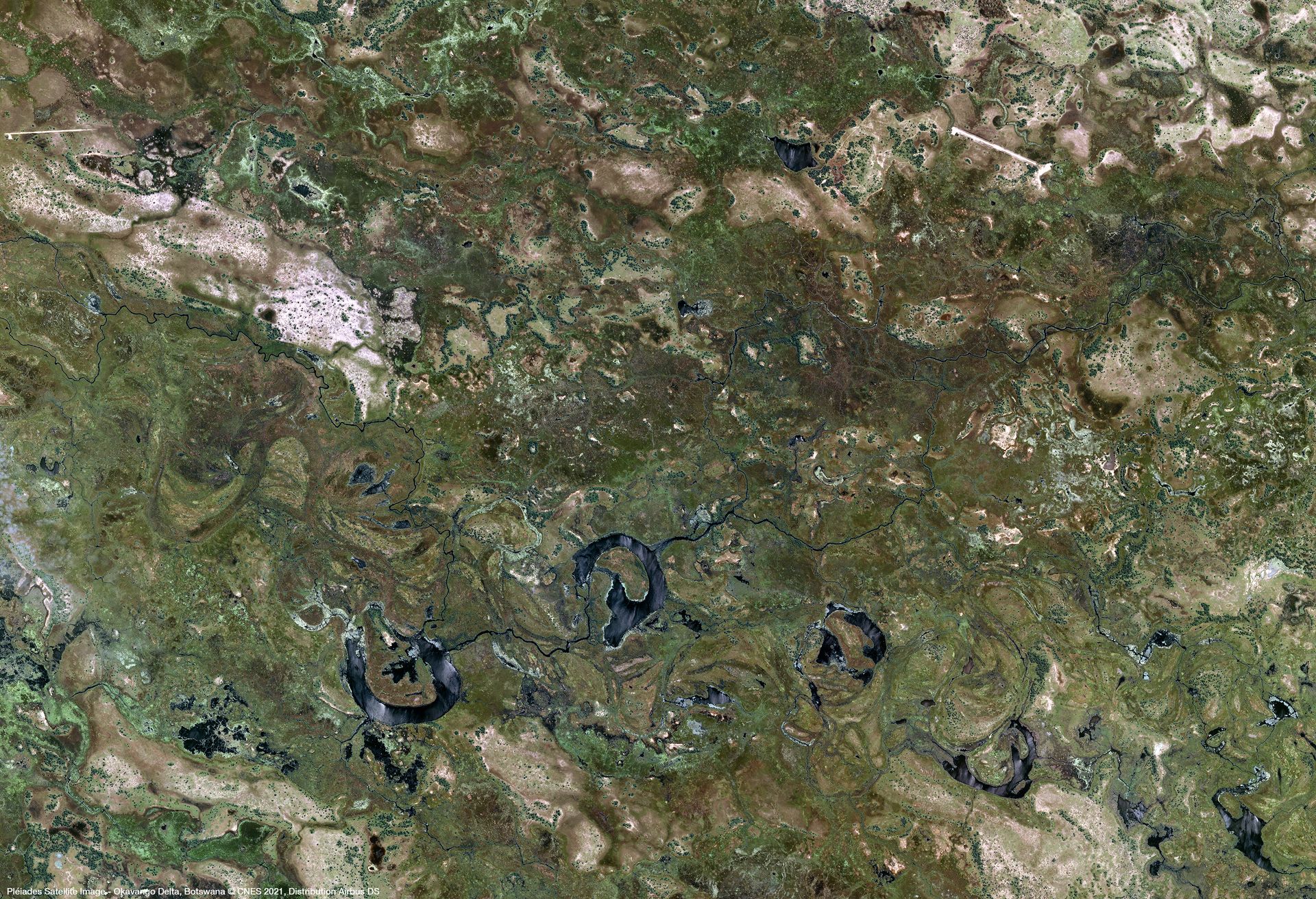 Okavango Delta, Botswana Satellite image from Pléiades thumbnail