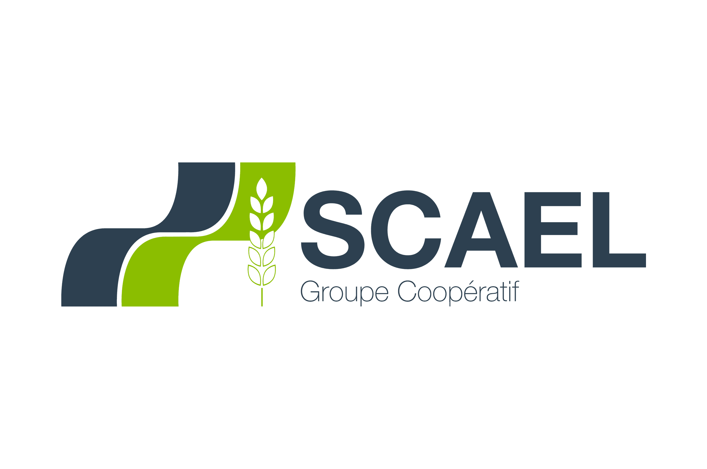 67a4e53a394b29d2aecb759d_SCAEL.png