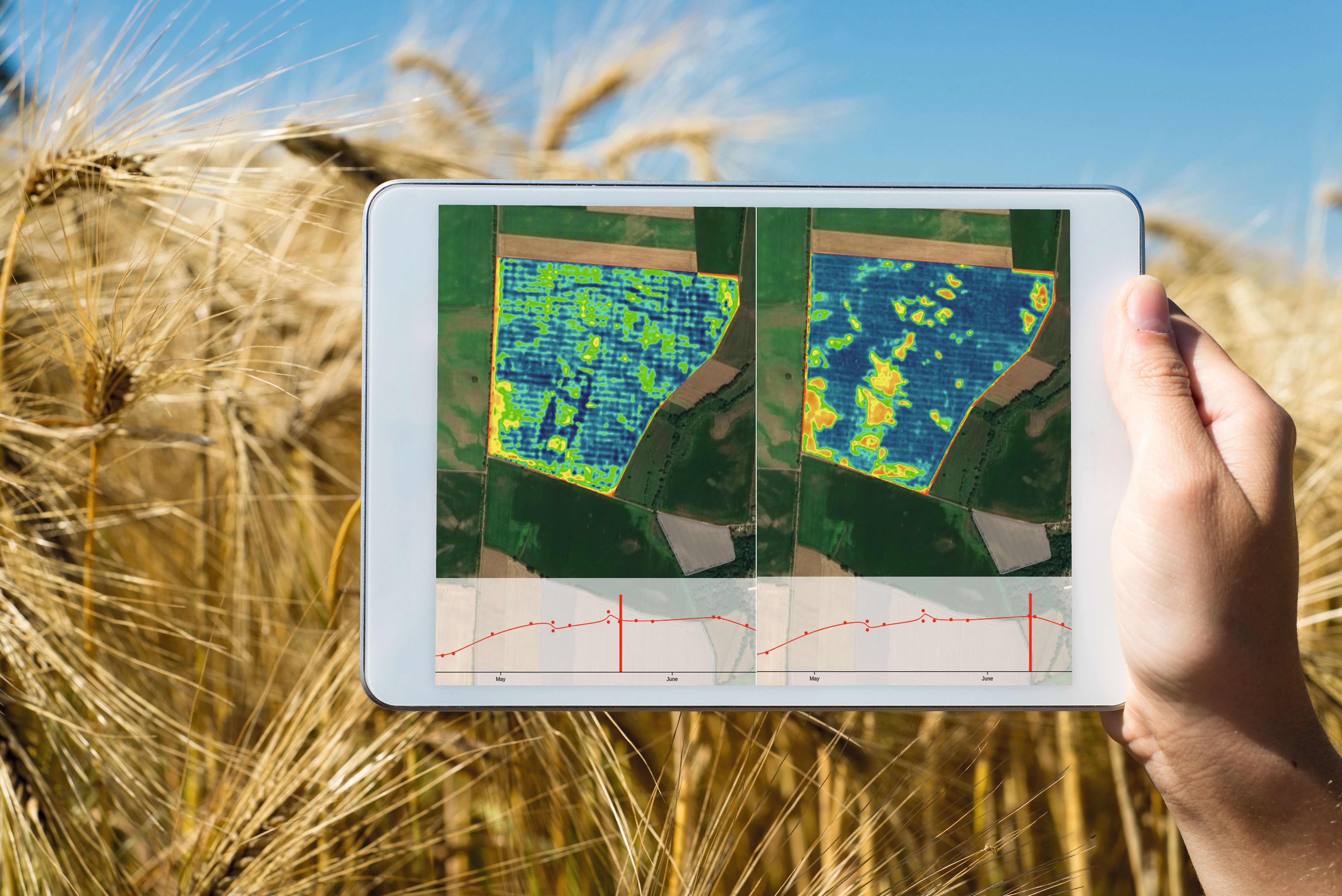 Agriculture Satellite-Based applications image Institutional application Agriculture Satellite-Based applications image Institutional application