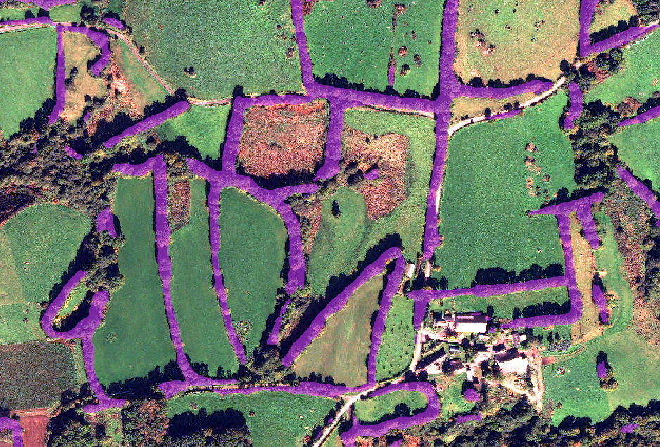 Hedge detection with Pléiades Neo - 6bands - 30cm resolution 