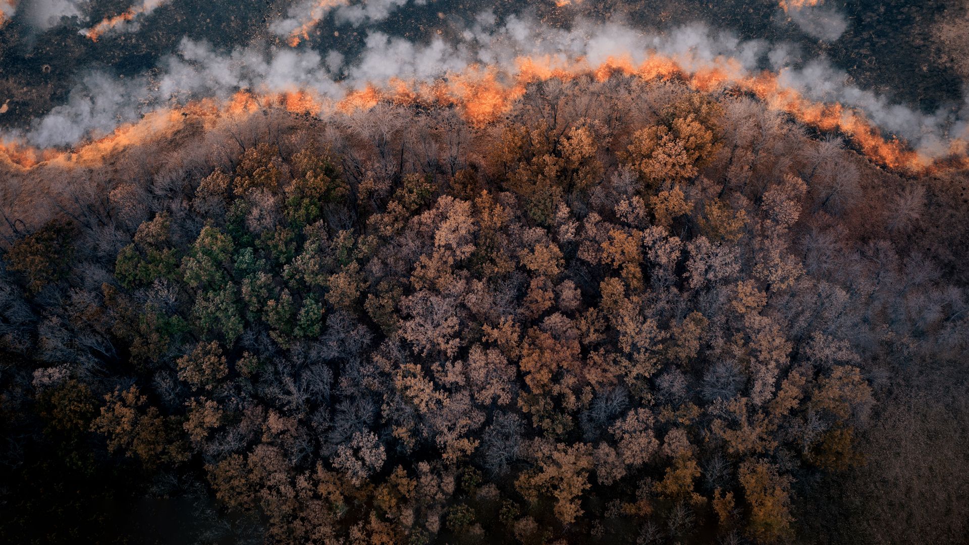 Forest Wildfire progressing - monitoring banner Forest Wildfire progressing - monitoring banner