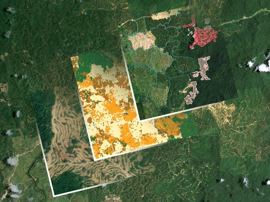 Starling-applications-monitoring-tool.jpg Starling-applications-monitoring-tool.jpg