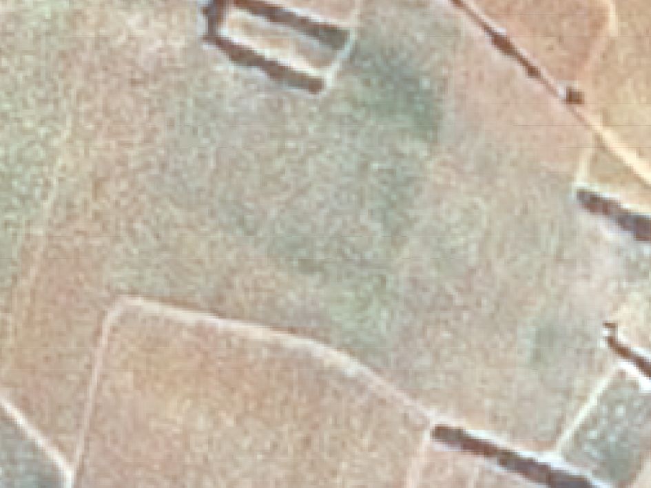 Vine rows view by SPOT 