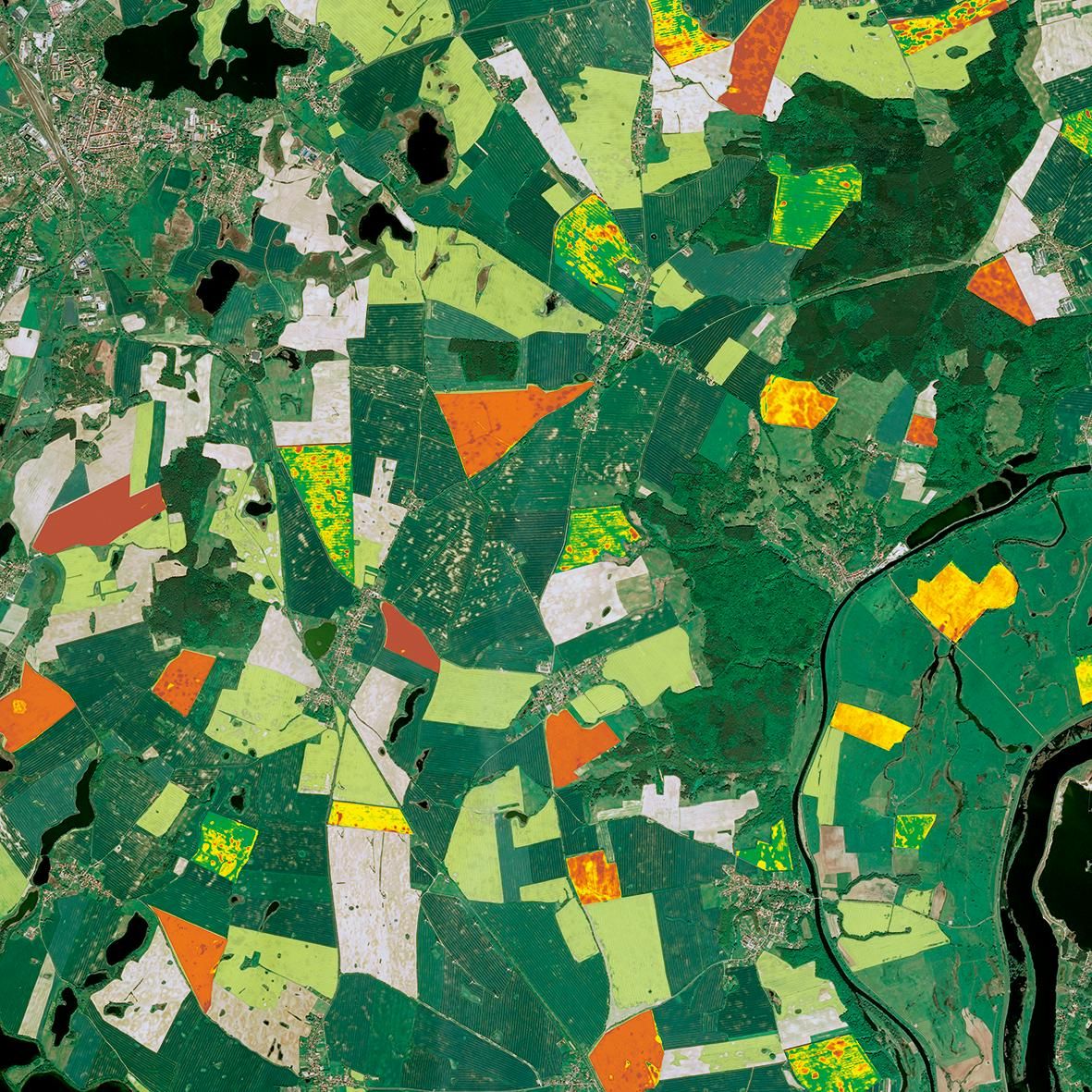 header_agriculture.jpg