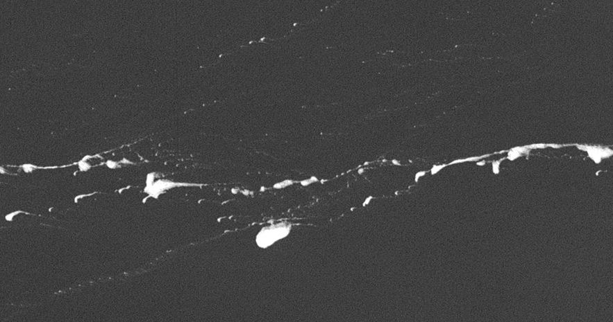 Case study - SPOT 7 October 18, 2014 - zoom