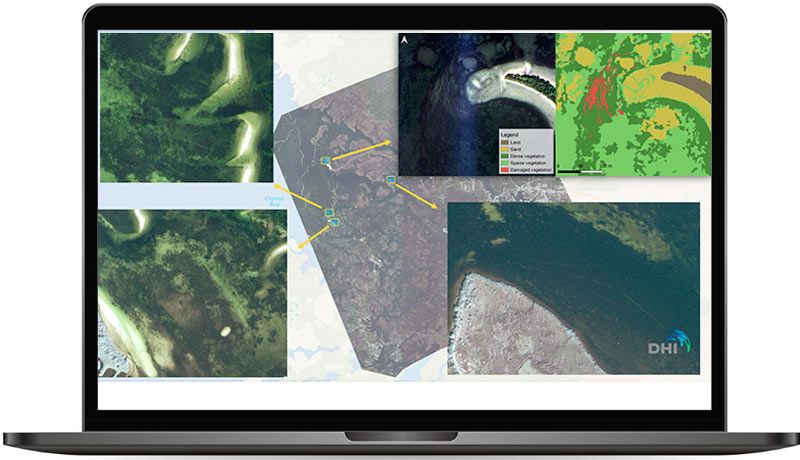 Propeller scars identified across the Crystal River region - Damaged vegetation mapping