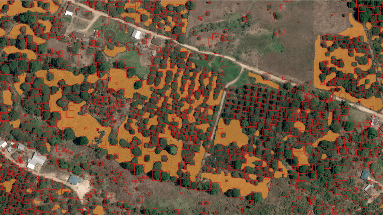 tree_detection.png