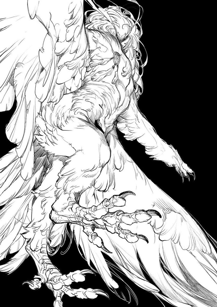 a detailed black and white drawing depicts a harpylike creature. the hybrid being has a birdlike body covered in feathers, strong talons, and large wings, combined with humanlike features. the image includes a dreamcatcher hanging from its neck area. the creature is set against a black background.