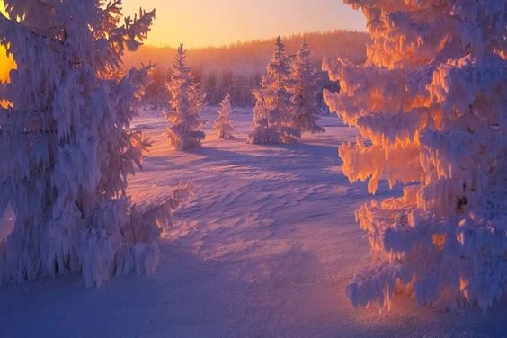 a beautiful winter landscape with snowcovered trees and a sunset in the background. the trees are covered in a thick layer of snow, and the ground is also covered in snow. the sunset is casting a warm glow over the scene.
