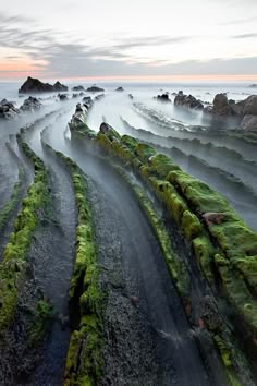 a wide shot of a rocky shoreline covered in moss. the rocks are shaped like steps, creating a flowing, abstract pattern. the water in the foreground is a misty blue, and the background is a hazy sky. the scene is peaceful and tranquil, and the moss gives the rocks a soft, green glow. the image is abstract and dreamlike, with a sense of wonder and mystery.