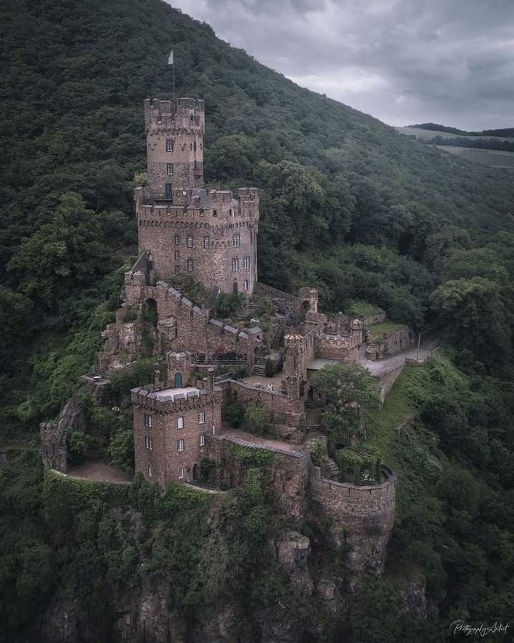 a full shot of an old stone castle perched atop a steep, treecovered hill under an overcast sky. the castle has a prominent tall tower with a flag on top, various walls, smaller towers, pathways, and several stone structures. the dense forest surrounds the castle, adding to its isolated and historical ambiance.