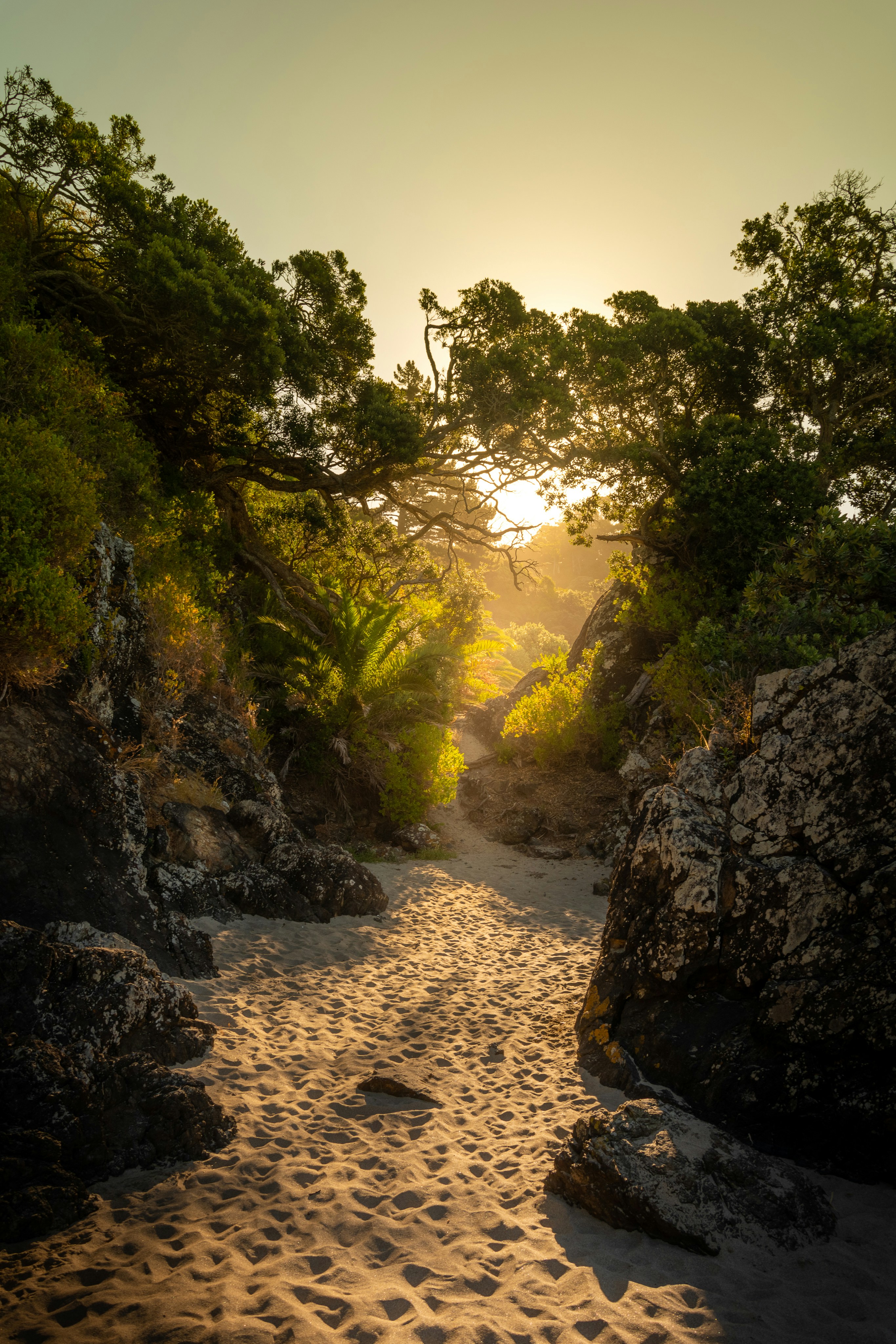 a sandy path, bathed in the warm glow of the setting sun, winds its way through a corridor of lush green trees and mosscovered rocks. the sun, positioned at the end of the path, creates a natural frame with its radiating light, casting long shadows and illuminating the foliage. the scene evokes a sense of tranquility and serenity.