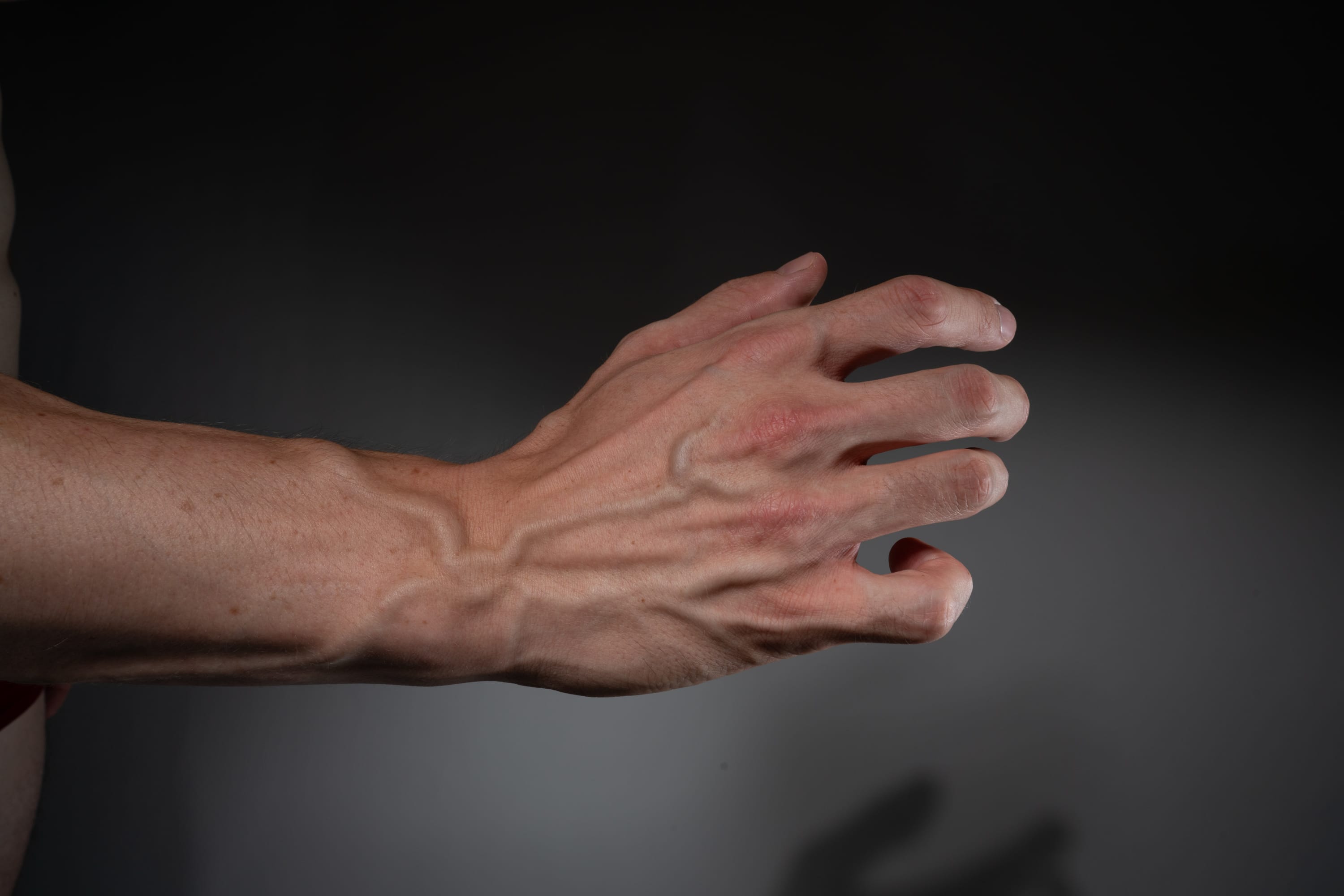 the image shows a closeup of a man's arm and hand. the veins and muscles are clearly visible, suggesting physical strength or fitness. the neutral background and studio lighting highlight the anatomical details.
