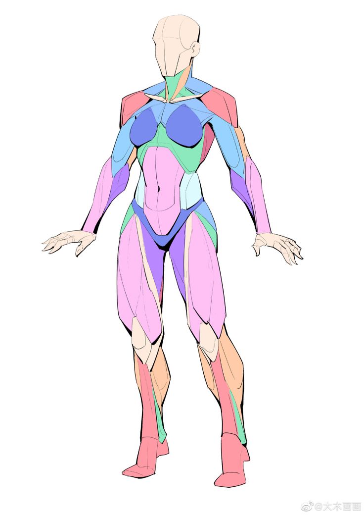 the image is a digital painting of a stylized female figure, depicted from a front view. the figure is rendered with pastel colors, and the muscles are highlighted with distinct color blocks, making it ideal for art students studying anatomy or for artists needing reference for character design. the style is a blend of realistic muscle structure and a slightly exaggerated, almost cartoonish aesthetic. the figure is posed in a relaxed, slightly open stance, with hands gently placed at her sides. the overall impression is one of clean lines, bright colors, and a clear anatomical representation that is both educational and visually appealing.