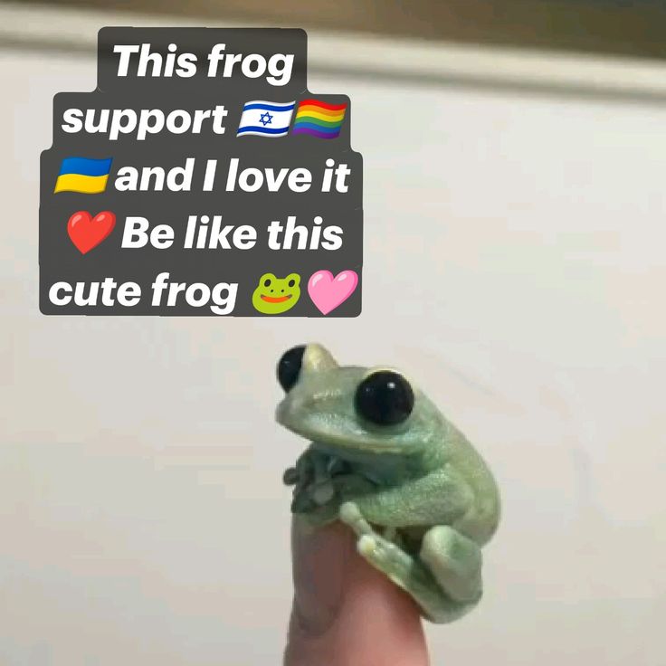 a cute small green frog is sitting on someone's finger. the frog is looking at the camera with its big eyes. the text in the image is "this frog support and i love it be like this cute frog." it has two flags of israel and ukraine, a rainbow flag and a heart. the image suggests to support ukraine and israel.