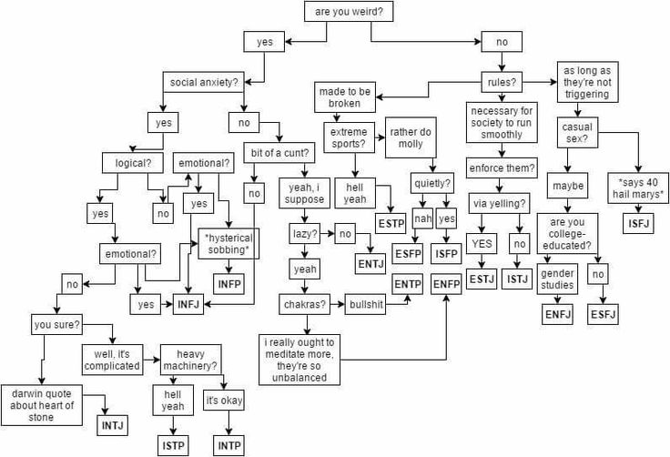 the image is a flowchart that attempts to classify personality types based on a series of yes/no questions. the flowchart starts with the question "are you weird?" and branches out depending on the answers, covering topics like social anxiety, rulefollowing, extreme sports, drug use, emotional and logical thinking, and other traits to ultimately assign a person to one of the personality types.