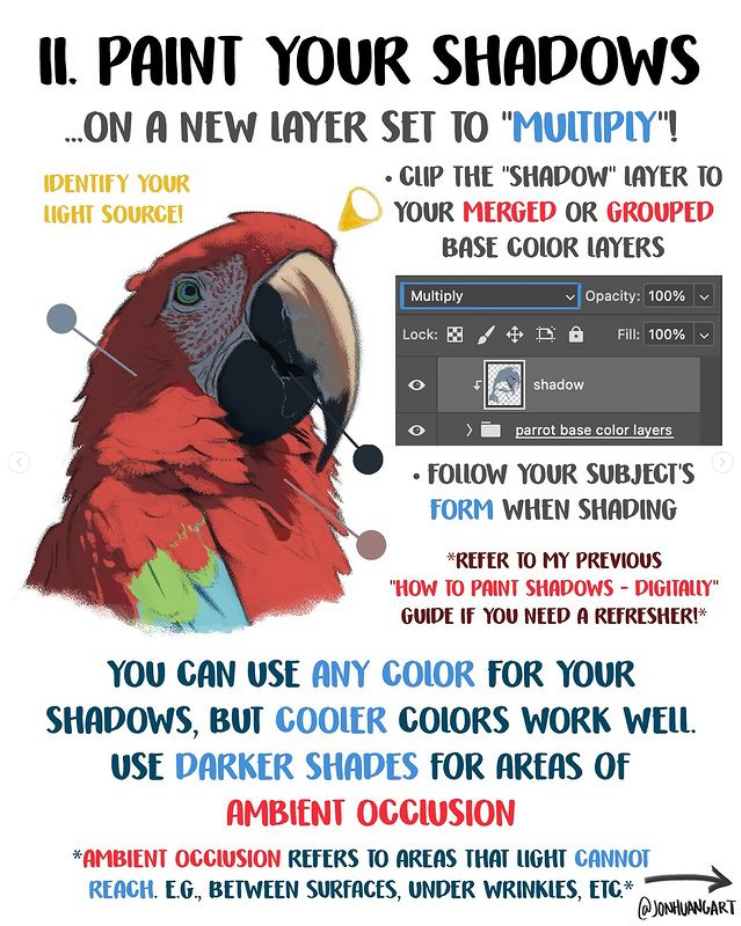 the image is a digital painting tutorial showing how to paint shadows in digital art.  it features a detailed stepbystep guide using adobe photoshop's "multiply" blend mode, focusing on correctly placing shadows based on the light source. the tutorial highlights the importance of considering the subject's form, using cooler colors for shadows, and employing darker shades for areas of ambient occlusion. a parrot illustration serves as the example for demonstrating the techniques.  the tutorial also references a previous guide on painting shadows.