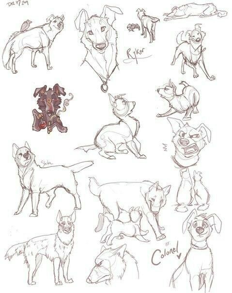 a series of pencil sketches depict various poses and expressions of dogs, showcasing different breeds and perspectives. the artist captures the animals' energy and anatomy with quick, fluid lines.