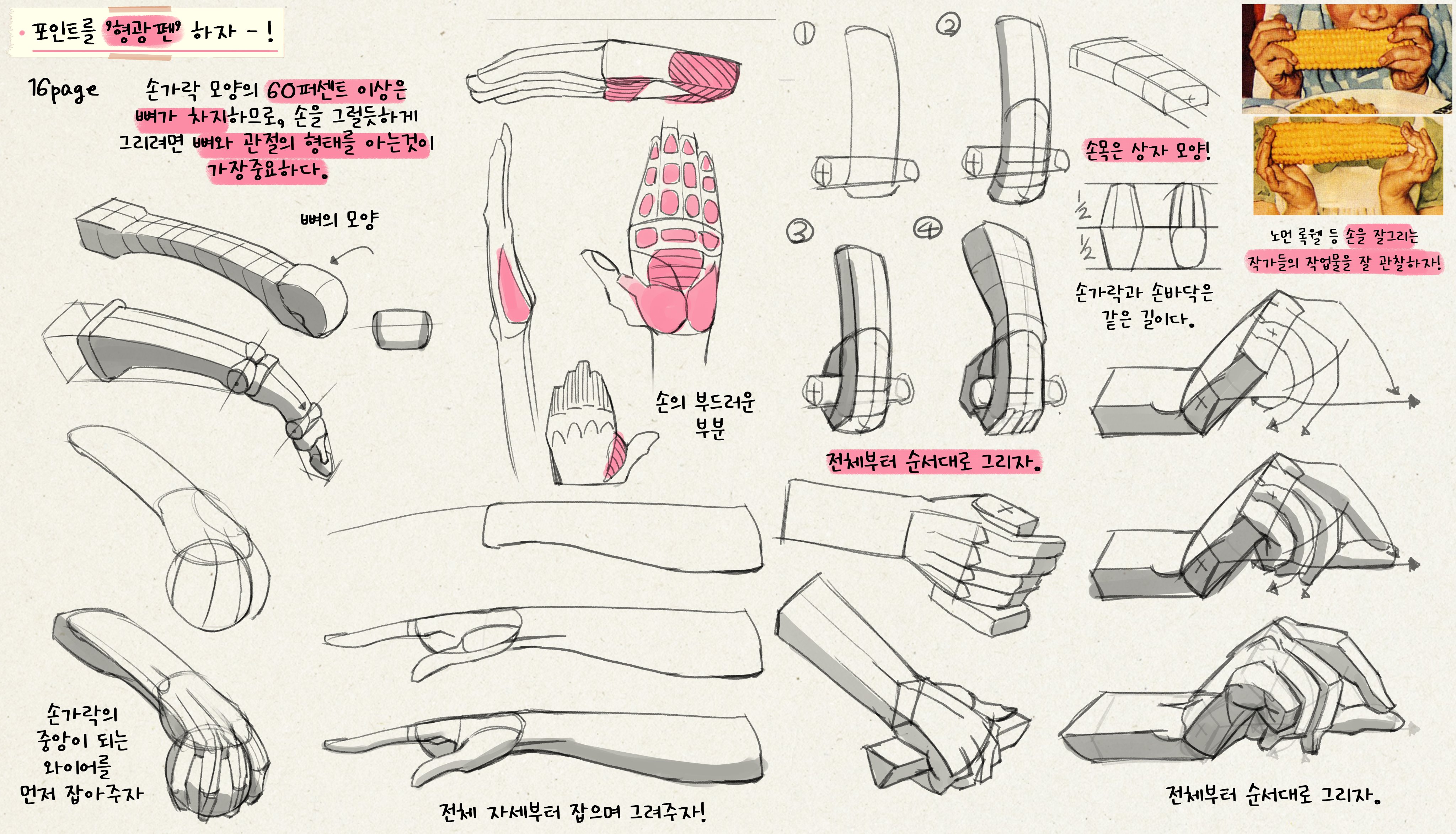 the image is a detailed koreanlanguage art tutorial focusing on how to draw realistic hands.  it provides a stepbystep guide, breaking down the hand's structure into its bone and muscle components.  the tutorial emphasizes understanding the underlying bone structure as a foundation for accurate hand drawing.  various hand poses and perspectives are shown, with helpful annotations indicating the shapes and proportions to consider.  the tutorial also includes references to the work of renowned artists known for their realistic hand depictions, suggesting the importance of studying masters.  the overall style is a combination of line drawings, simplified 3d shapes and some annotations in korean.  a picture of someone eating corn is included, potentially as an example to observe natural hand positioning.