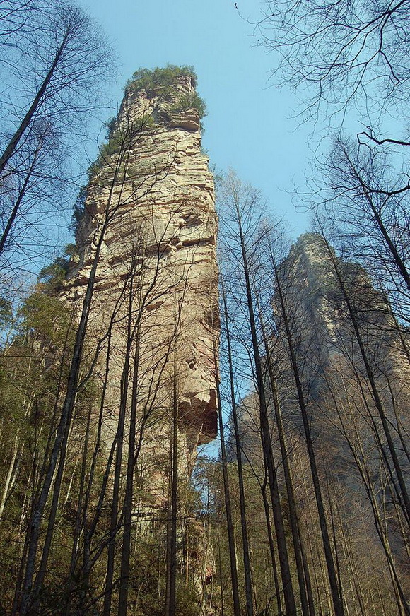 a lowangle view of tall rock formations in zhangjiajie national forest park, china, framed by bare trees. the sandstone cliffs tower against the blue sky on a clear day, showcasing the unique landscape of the area.