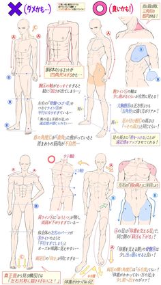 the image is a tutorial on how to draw the male body. it shows different poses and angles, and points out common mistakes that beginners make. the tutorial is in japanese.