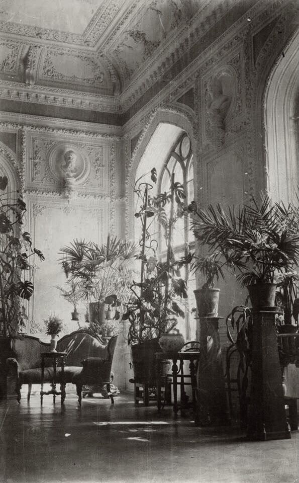 a black and white vintage photograph depicting the interior of a lavishly decorated room. the room features an ornate ceiling with intricate plasterwork moldings, walls adorned with decorative panels and medallions, and large arched windows. the space is filled with numerous potted plants, including several palm trees, creating a lush, almost conservatorylike atmosphere.  several pieces of antique furniture are visible, including a chaise lounge and a small side table. the overall aesthetic suggests a wealthy, historical setting, possibly a grand home or mansion. the image is softly lit, with shadows accentuating the architectural details and the textures of the plants and furniture.
