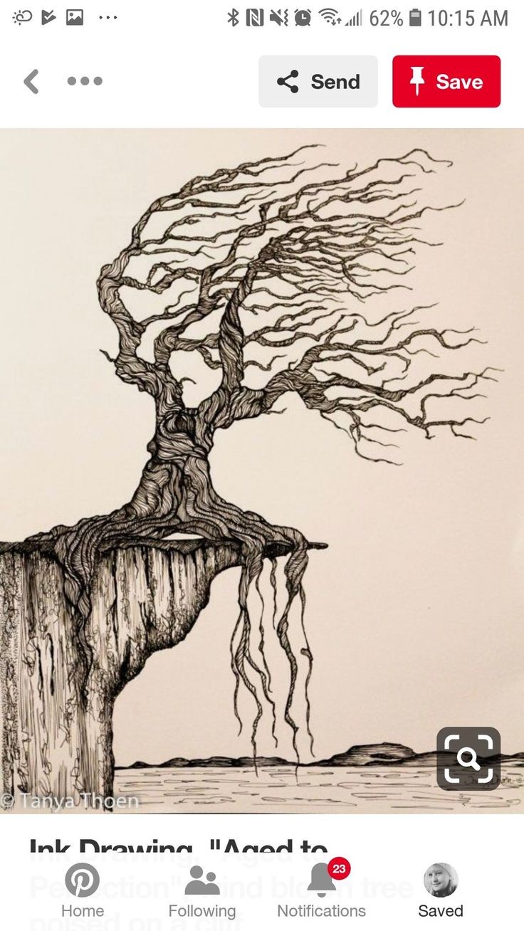 this is a handdrawn ink drawing of a tree that appears to be aged and withered. the tree is depicted with a single, gnarled trunk, with branches that extend outwards and then downwards, reaching towards the water below. the roots of the tree are also prominently drawn, and they extend down into the water as well. the tree appears to be growing on a cliff, with water below. the drawing is done in black and white, and the lines are both bold and delicate, giving the drawing a sense of both strength and fragility. the drawing is abstract and surreal, suggesting a story or a deeper meaning beyond what is immediately apparent.