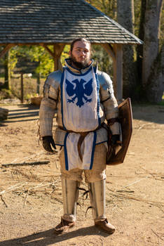 a man dressed in a full suit of medieval knight's armor stands outdoors in front of a rustic wooden structure. he is wearing a chainmail shirt, metal pauldrons, cuirass, leg armor, and a tabard with an eagle emblem. he holds a shield in his left hand. the sun shines on him, illuminating the details of his attire and the surroundings.  the setting suggests a historical reenactment event.