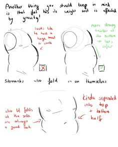 a black and white sketch with red and green handwritten annotations teaching about how to draw a stomach with realistic fat folds. the drawing depicts two different body types with different stomach shapes, and the annotations explain how gravity affects the way the fat folds.  the drawing is simple and easy to understand, and the annotations are clear and concise.