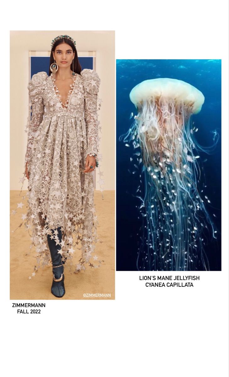 a woman wearing a beige dress and black boots is standing on a beige background with a blue sky. the dress is covered in sequins and stars. the dress is part of the zimmermann fall 2022 collection. on the right side of the picture is a jellyfish floating in the ocean.  the text below the jellyfish says "lion's mane jellyfish cyanea capillata."