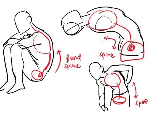 the image is a drawing of three figures demonstrating how the spine bends in different poses. the first figure is sitting with its legs crossed, and the spine is bent forward. the second figure is bent backwards, and the spine is curved in the opposite direction. the third figure is bending to the side, and the spine is curved sideways. the spine is highlighted in each figure, with arrows indicating the direction of the curve.