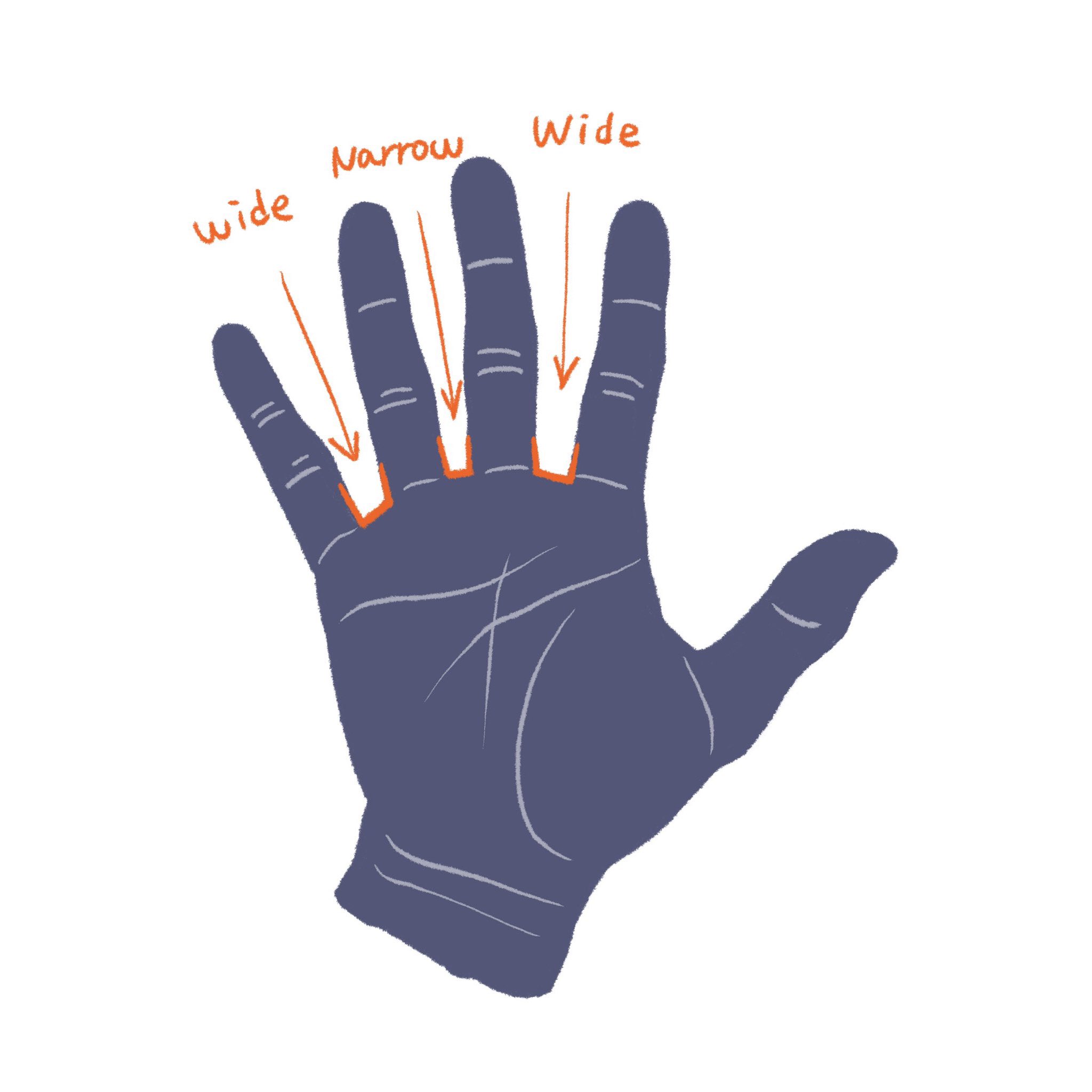 the image shows a drawing of a left hand with annotations indicating the width of the fingers.  the fingers are labeled as "wide" and "narrow" to demonstrate the difference in width between the fingers.  the hand is depicted in a bluishgray color, and the annotations are in orange. the drawing style is simple and illustrative.
