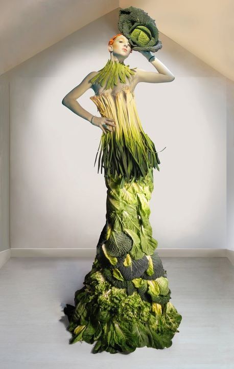 a fulllength photograph showcases a model adorned in a breathtaking dress crafted entirely from various green leafy vegetables.  the dress's design is elaborate, flowing from a bodice of what appears to be leeks, cascading into a voluminous skirt composed of layers of cabbage, lettuce, and other greens. the model's head is topped with a large cabbage. the image is shot in a minimalist white room, emphasizing the dress's intricate details and vibrant color. the overall impression is one of artistic creativity, sustainability, and a striking contrast between haute couture and natural produce.