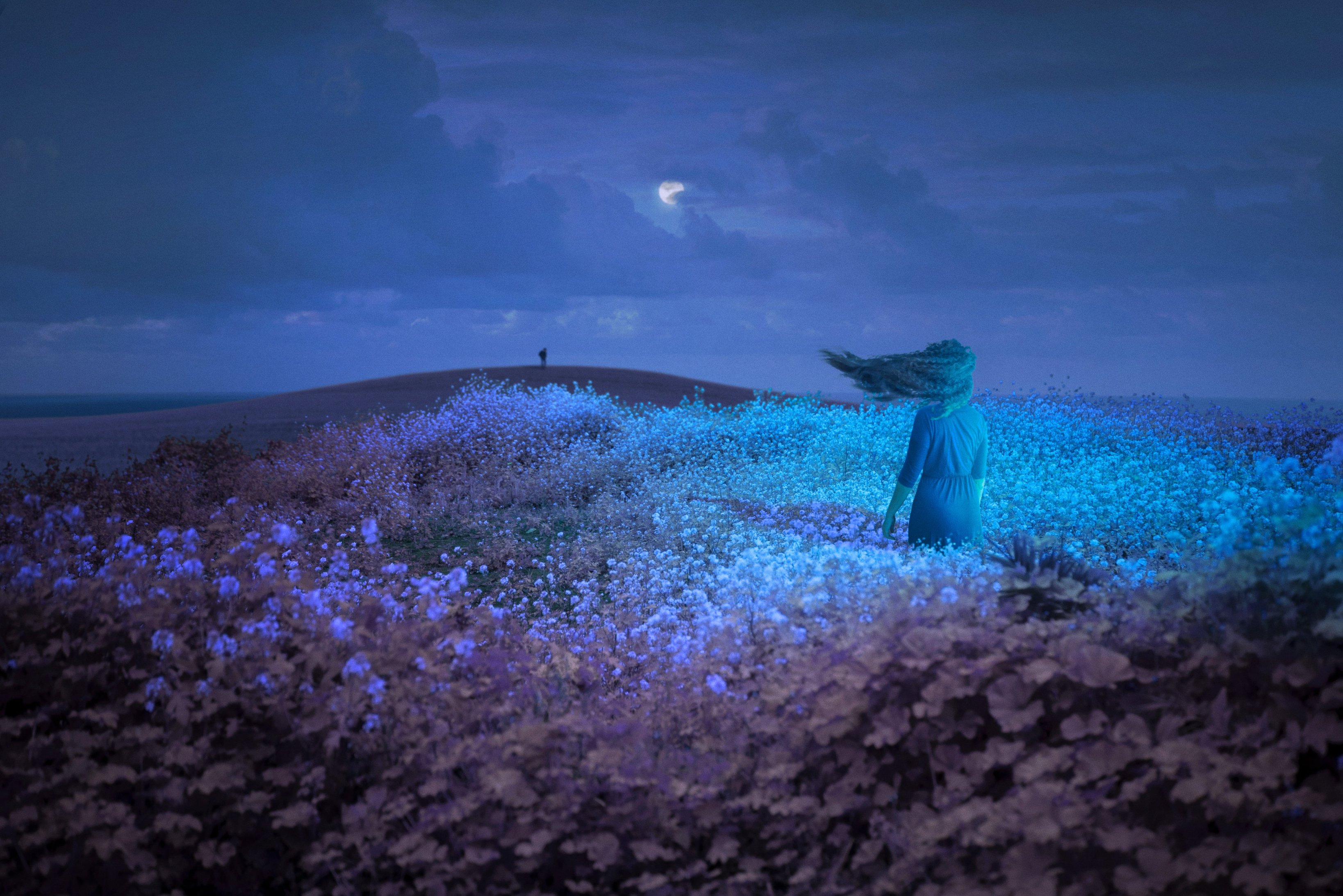 a surreal and dreamy landscape featuring a woman standing in a field of flowers at night. the field has a mix of purple and vibrant blue flowers, with the flowers closest to the woman glowing with an ethereal light. the woman's hair is blowing in the wind, obscuring her face. in the background, a small hill is visible with a tiny silhouette of a person standing on top, and the moon is peeking through the dark clouds. the overall atmosphere is peaceful, mysterious, and magical.