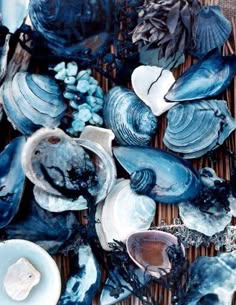 a closeup image of an array of seashells, some blue, some white, and some with a natural brown hue. they are arranged in a seemingly haphazard manner, creating a beautiful and artistic display. the image is full of texture and detail, with each shell having its own unique shape and markings. the overall color palette is cool and calming, with the blues and whites creating a sense of serenity. the image is perfect for anyone who loves the ocean, shells, or nature in general.