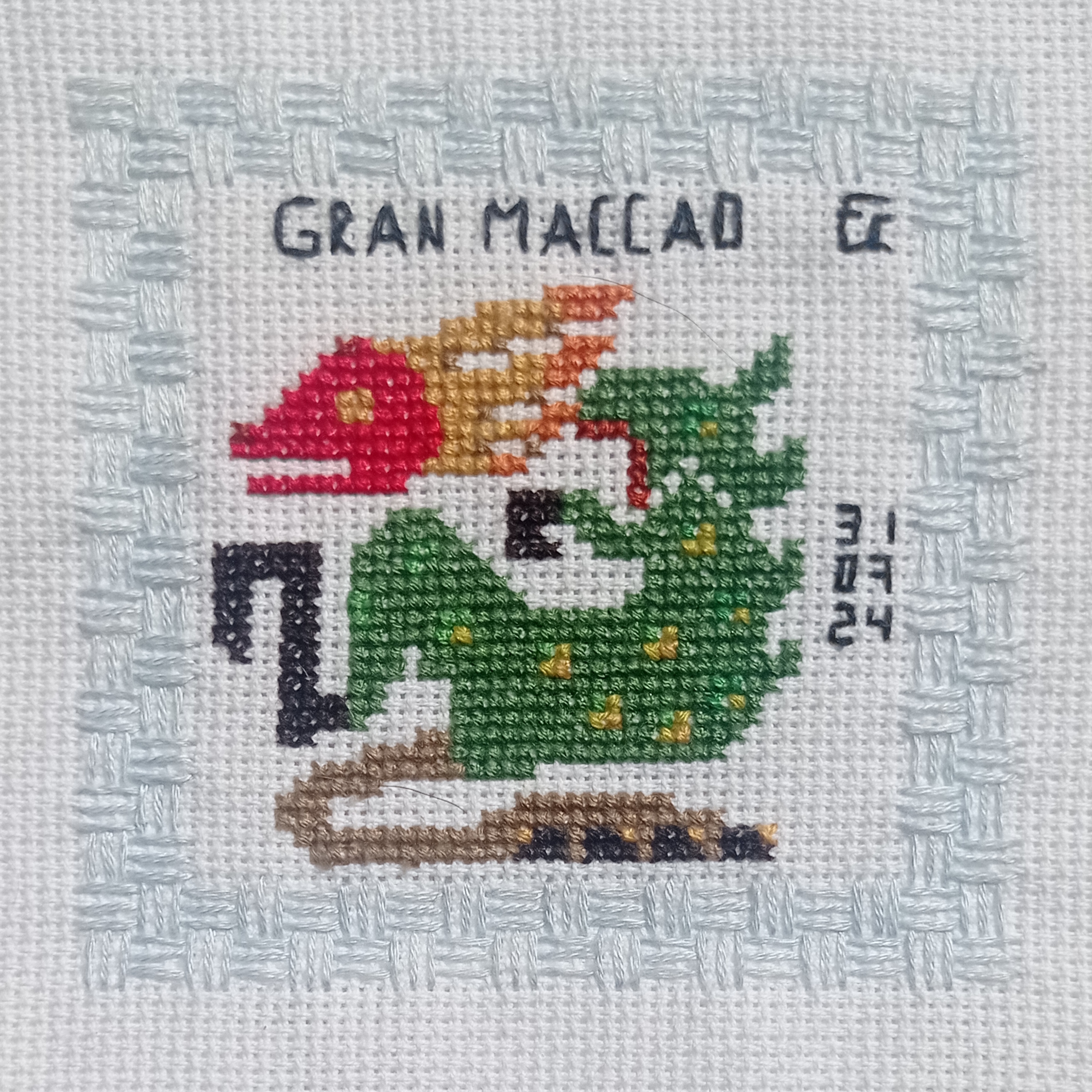 a piece of white aida cloth with an embroidered dragon cross stitched onto it. the dragon is green with yellow details, a red head, and orange fire coming out of its nostrils. the words "gran maccao" are embroidered above the dragon, and "31 07 24" is embroidered to the right of the dragon. the cross stitch is bordered by a light grey woven stitch. the aida cloth is slightly bunched at the edges.