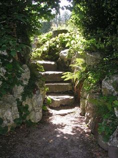 a set of stone steps ascend a slope in a garden setting. the steps are framed by lush greenery, including ferns and trees. sunlight filters through the leaves, creating a pattern of light and shadow on the path. the overall atmosphere is one of tranquility and natural beauty.