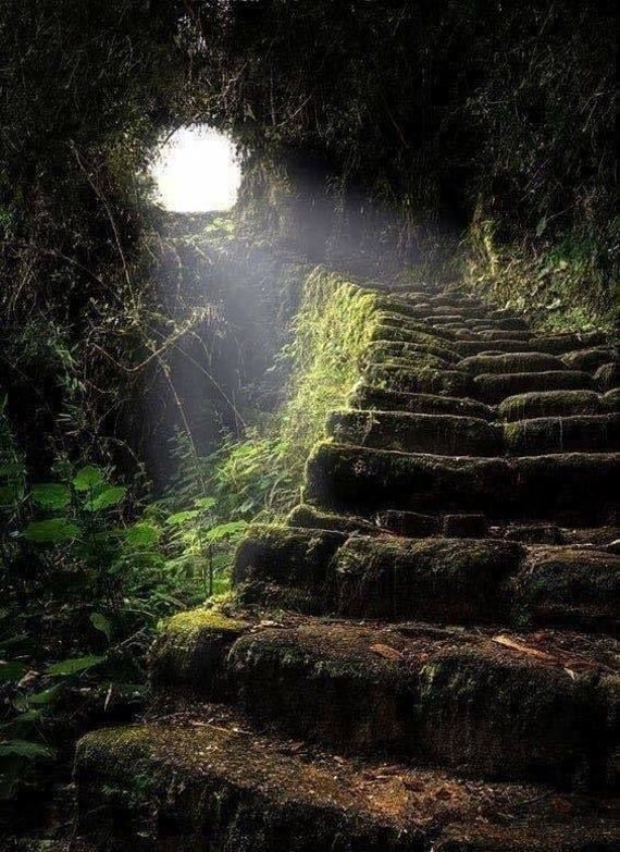 a set of stone stairs covered in moss leads upward through a dark, overgrown forest. sunlight streams through an opening in the canopy at the top of the stairs, illuminating the path. the image evokes a sense of mystery and adventure.