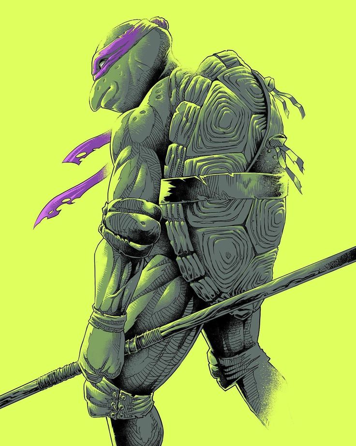 a stylized illustration of donatello, a teenage mutant ninja turtle. donatello is depicted in a classic fighting pose, holding his bo staff. the artwork has a vibrant color scheme, with donatello's green skin, purple mask, and yellow background.