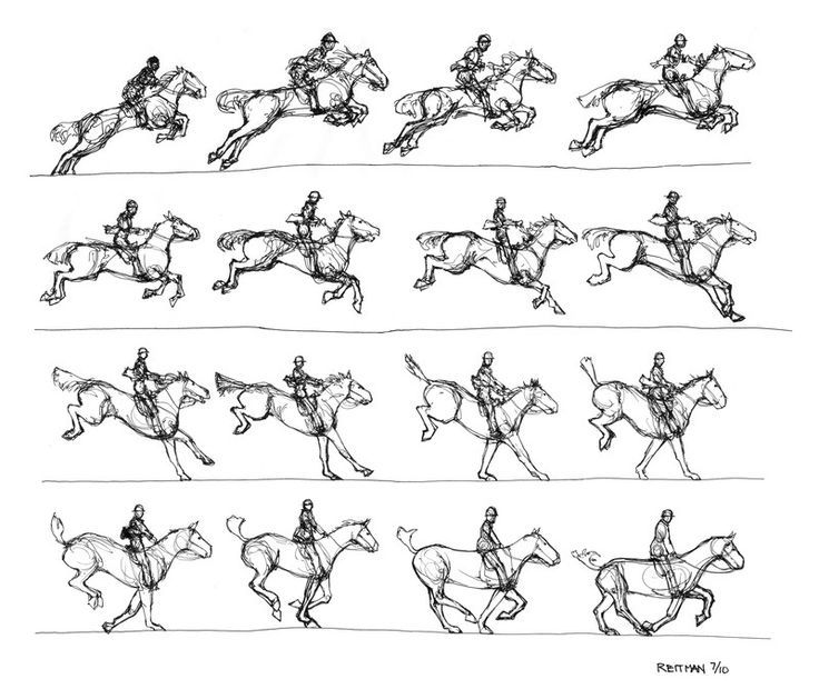 a black and white line drawing of a horse and rider jumping. there are 12 frames of animation depicting the horse's movement from one point to another, as if they are jumping over a fence. the drawing is very simple and abstract, yet still conveys the motion of the horse and rider. the artist has captured the energy and grace of the horse as it leaps through the air.