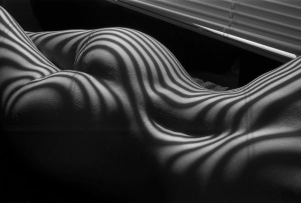 the image is a black and white photograph of a female nude body. the body is positioned on its side, and the light source, seemingly from a window blind, casts strong parallel shadows across the curves of the back, buttocks, and torso. this creates a striking pattern of light and dark stripes across the flesh, transforming the body into an abstract form with a textured appearance. the overall mood is sensual and artistic, emphasizing the interplay of light and shadow to create a visually compelling image.
