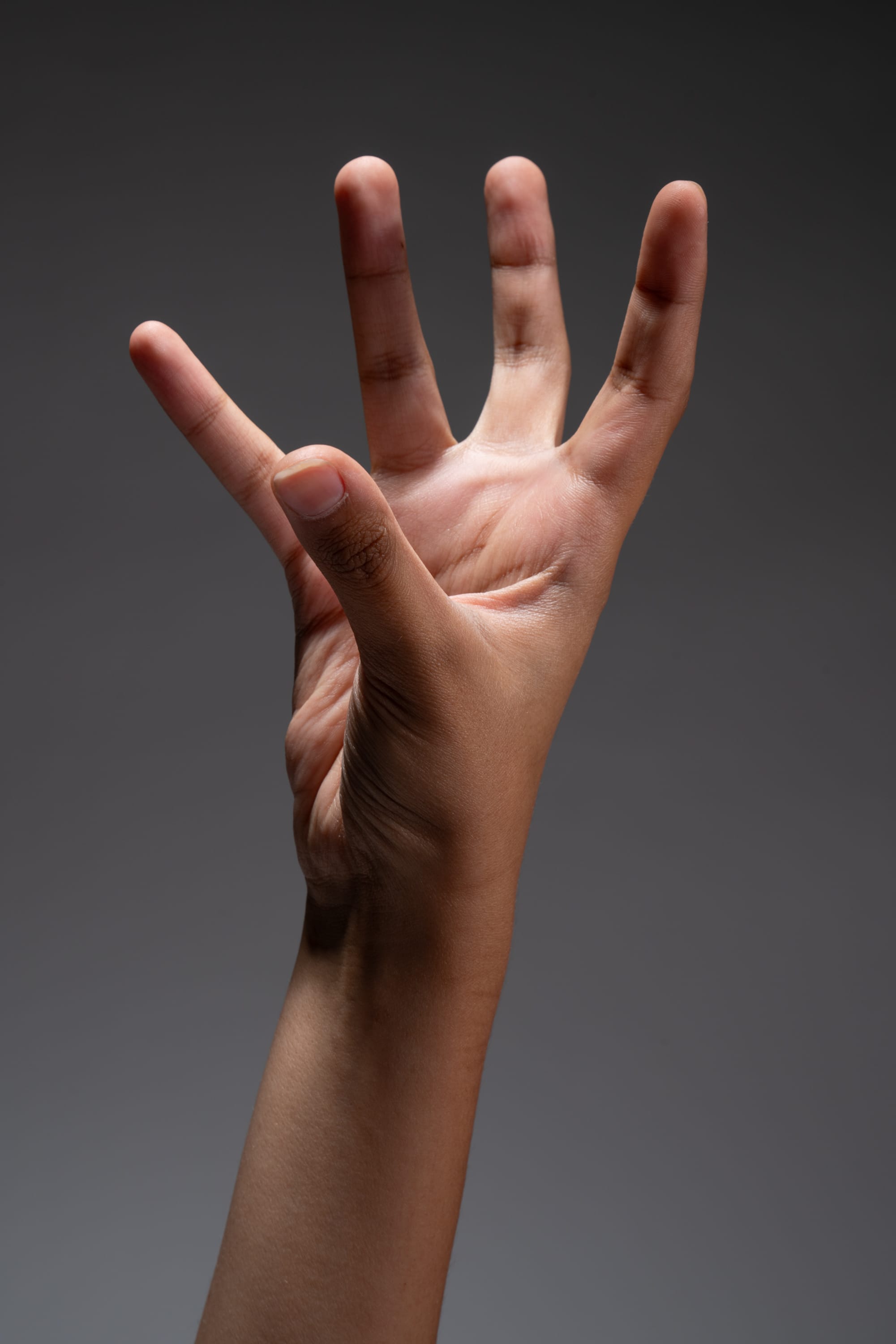 a hand is reaching up against a gray background. the hand is lit dramatically from the side, highlighting the texture of the skin and the shape of the fingers.  the fingers are spread apart, and the hand appears to be grasping at something.