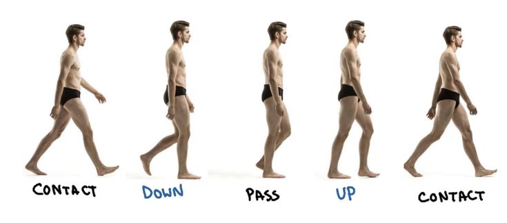 a series of five images showing a man walking from left to right. the man is wearing underwear and is walking barefoot. the five images show the stages of the walking motion, from contact to lift off. the images are labeled with words that describe the stages of the walking motion.