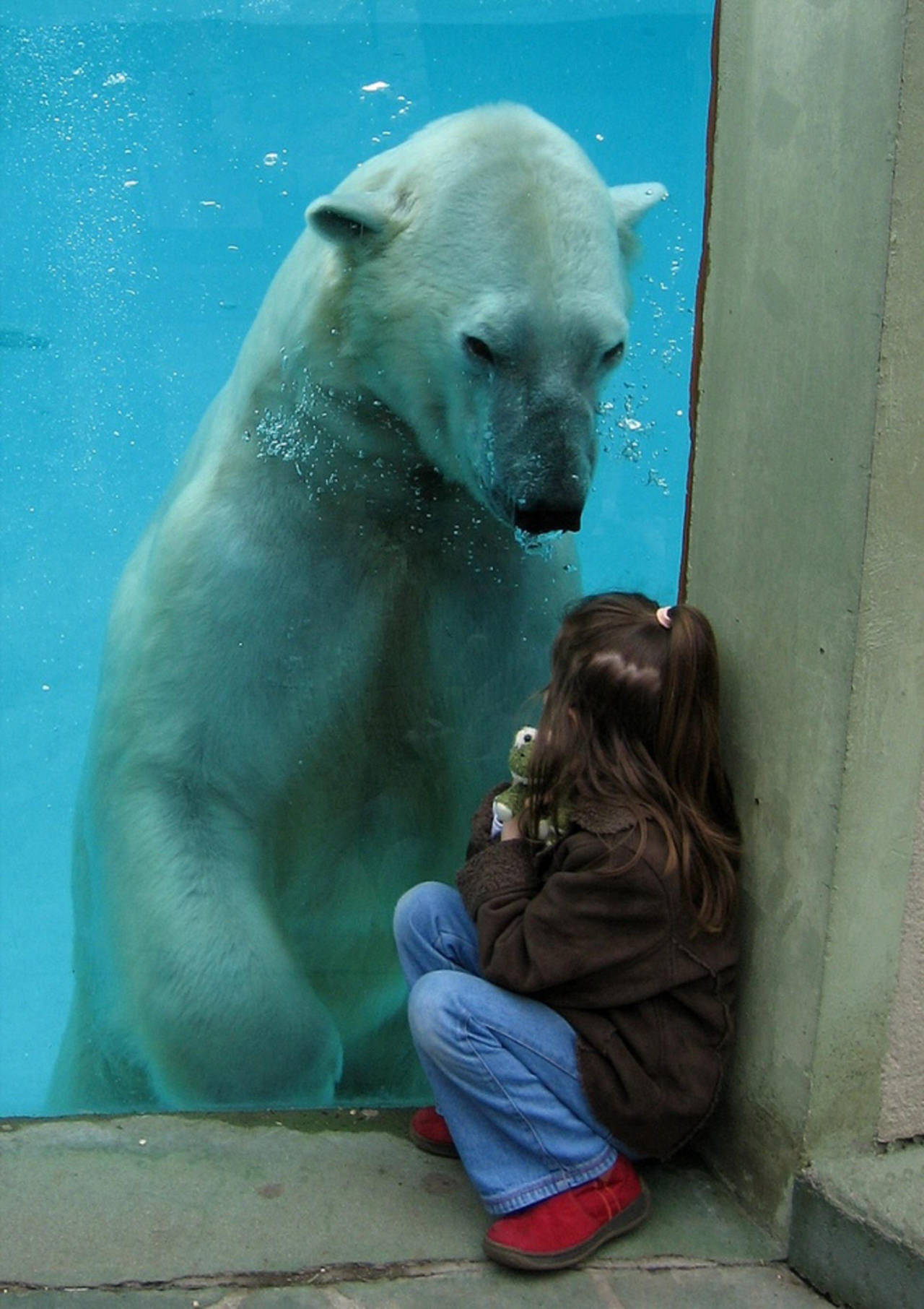 a girl is looking at a polar bear through the glass of an aquarium. the bear is in the water, looking at the girl. the girl is smiling at the bear.  the bear is large and white, with a black nose and black eyes. the girl is wearing a brown jacket and blue jeans. the image is taken from a low angle, looking up at the polar bear.