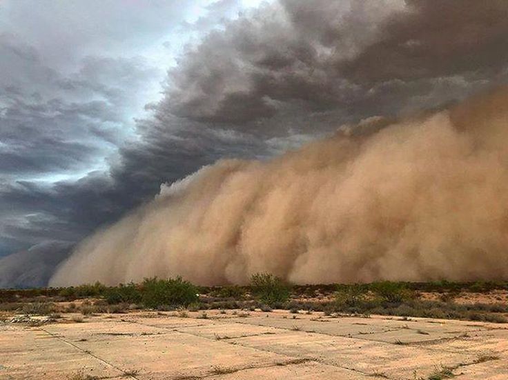 this image captures a massive dust storm engulfing the desert landscape. the swirling brown cloud of dust stretches across the horizon, creating a dramatic and ominous scene. the sky above is filled with dark, threatening clouds, adding to the sense of impending danger. the desert floor, covered in patches of vegetation, is barely visible beneath the thick layer of dust. the image is a powerful reminder of the destructive force of nature and the importance of being prepared for extreme weather events.